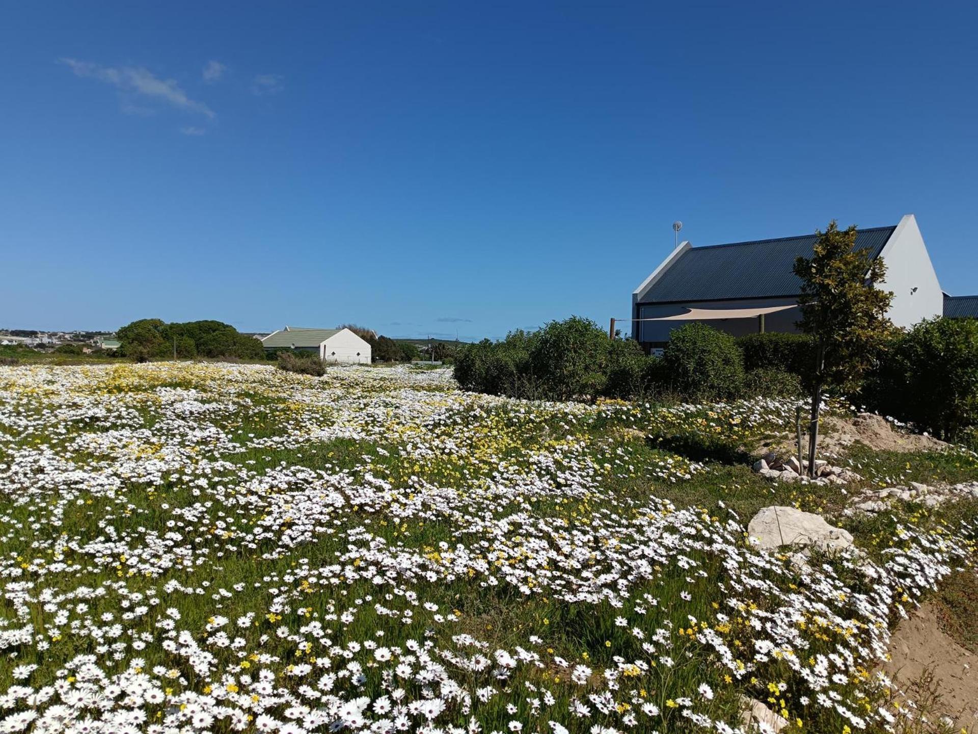Silver Oaks Airbnb Langebaan Zewnętrze zdjęcie